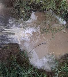 Petição: Pelos crimes ambientais praticados por suiniculturas na Região de Leiria 