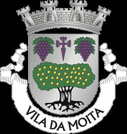 Requerimento por vontade popular do cancelamento da edição deste ano de 2020, das Festas da Moita