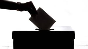 Pela instituição do voto obrigatório