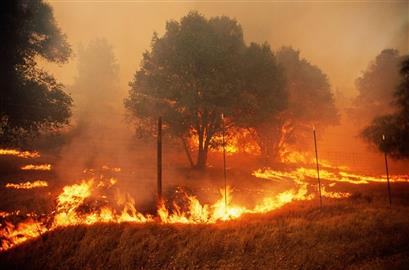 Alteração do código Penal referente aos incendios florestais