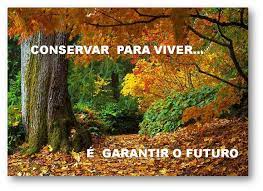 Preservação das Florestas