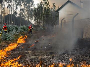 Alteração do Código Penal referente aos incêndios florestais.