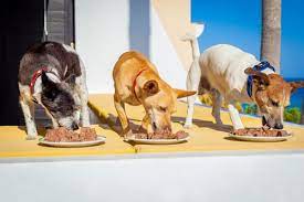 Petição para baixar os preços nos alimentos para animais de Estimação