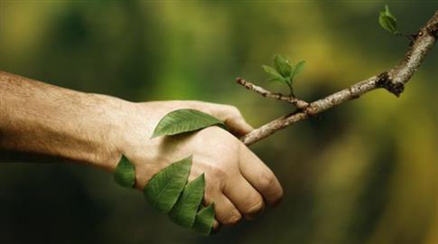 Tempo mínimo sobre Política do Ambiente nos debates eleitorais