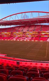 Pela defesa do nosso Benfica!