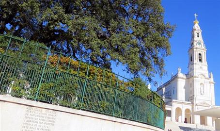 Para pedir a Sua Excelência o Arcebispo de Fátima a celebração, no Santuário de Fátima, todos os domingos, da Santa Missa tradicional no rito Tridentino.