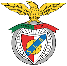 Despedimento de Roger Schmidt