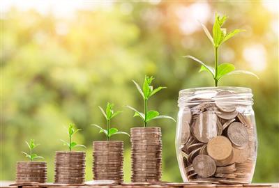 Petição para a Inclusão de um Currículo de Literacia Financeira nas Escolas de Lisboa
