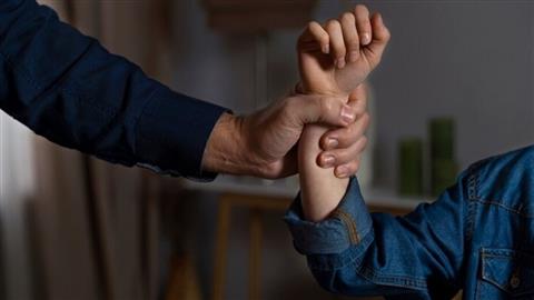 Pela Criação de uma Plataforma Digital Integrada de Gestão de Casos de VIOLÊNCIA DOMÉSTICA em Portugal