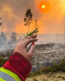 Petição aumento do vencimento dos bombeiros