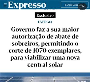 Abaixo assinado pelos 1070 sobreiros de Condeixa a nova