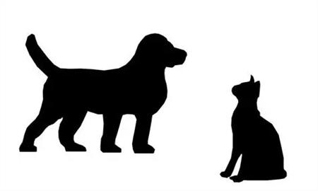 Pelo Estabelecimento de Imposto Anual sobre Possuidores de Cães e Gatos