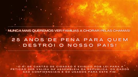 Pena máxima de 25 anos para incendiários