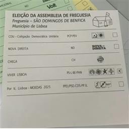 FRAUDE NOS BOLETINS ELEITORAIS - REPETIÇÃO DE ELEIÇÕES 