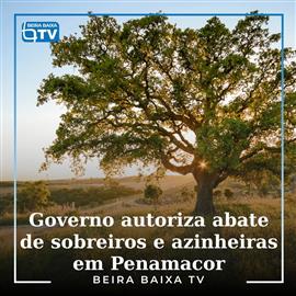 Parque Eólico Penamacor 2: a transição energética não pode justificar o abate de espécies protegidas
