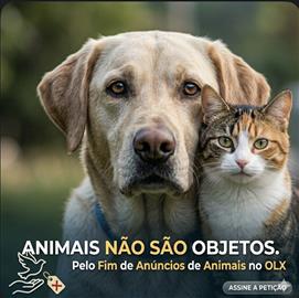 Dignidade Animal: Proibição de Anúncios de Seres Vivos no OLX e Similares
