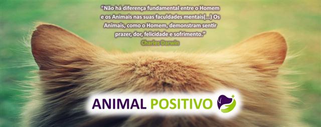 Construção de um Parque para Cães em Alverca do Ribatejo