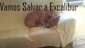Não Matem a Excalibur