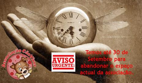 Uma Nova Casa Para Os Animais Da Associação Cão Viver