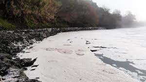 Basta de Poluição no rio Tejo