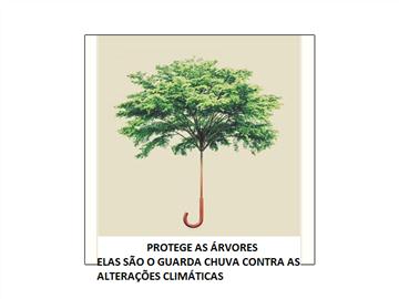 Em defesa das árvores de Faro e contra as podas radicais